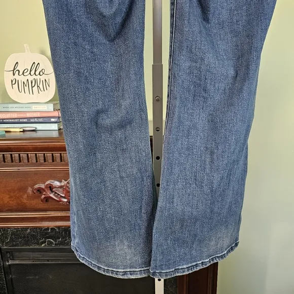 Anthropology Pilcro High Rise Trouser Bootcut Wide Leg Jeans Size 32