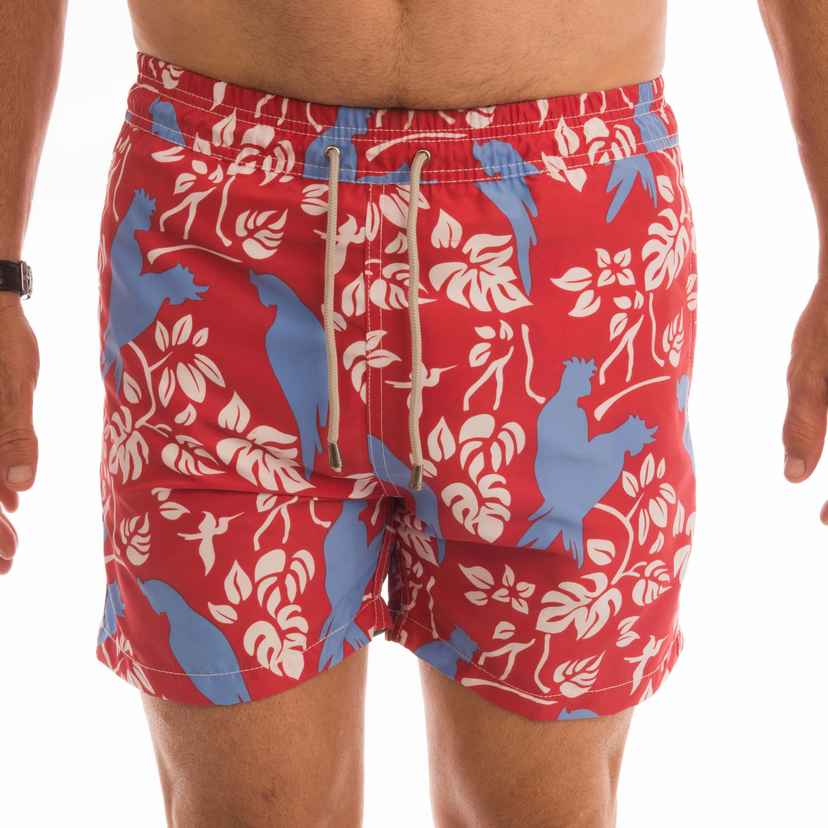 Bird Parrot Pattern Board Short