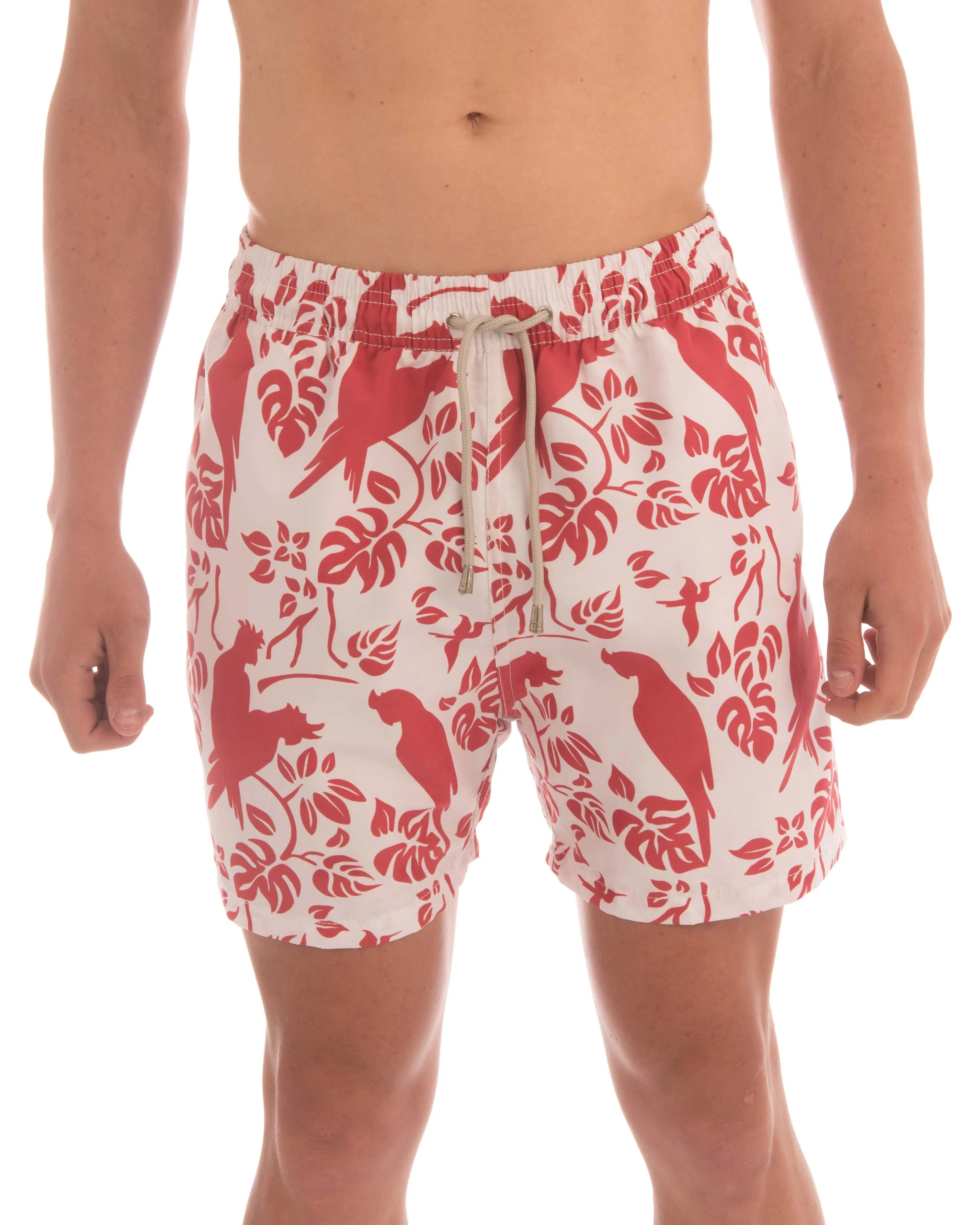 Bird Parrot Pattern Board Short