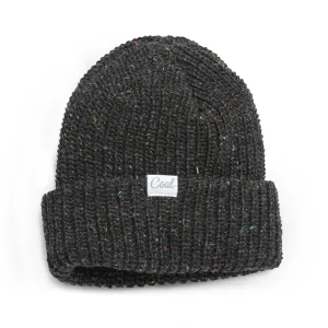 Coal The Edith Rainbow Speckle Knit Beanie - Black