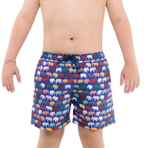 Elephant Boys Board Shorts
