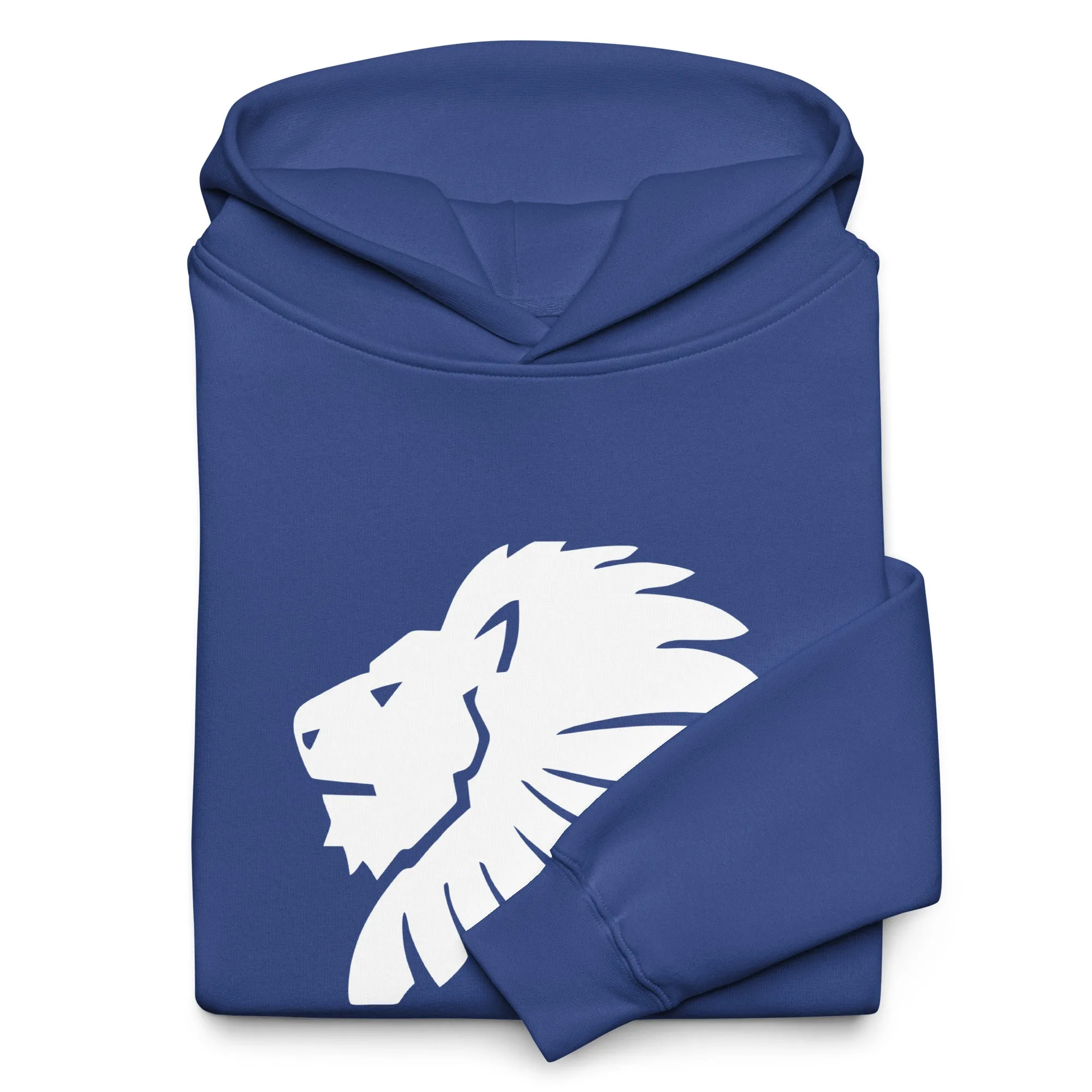 Leo Oversized Hoodie