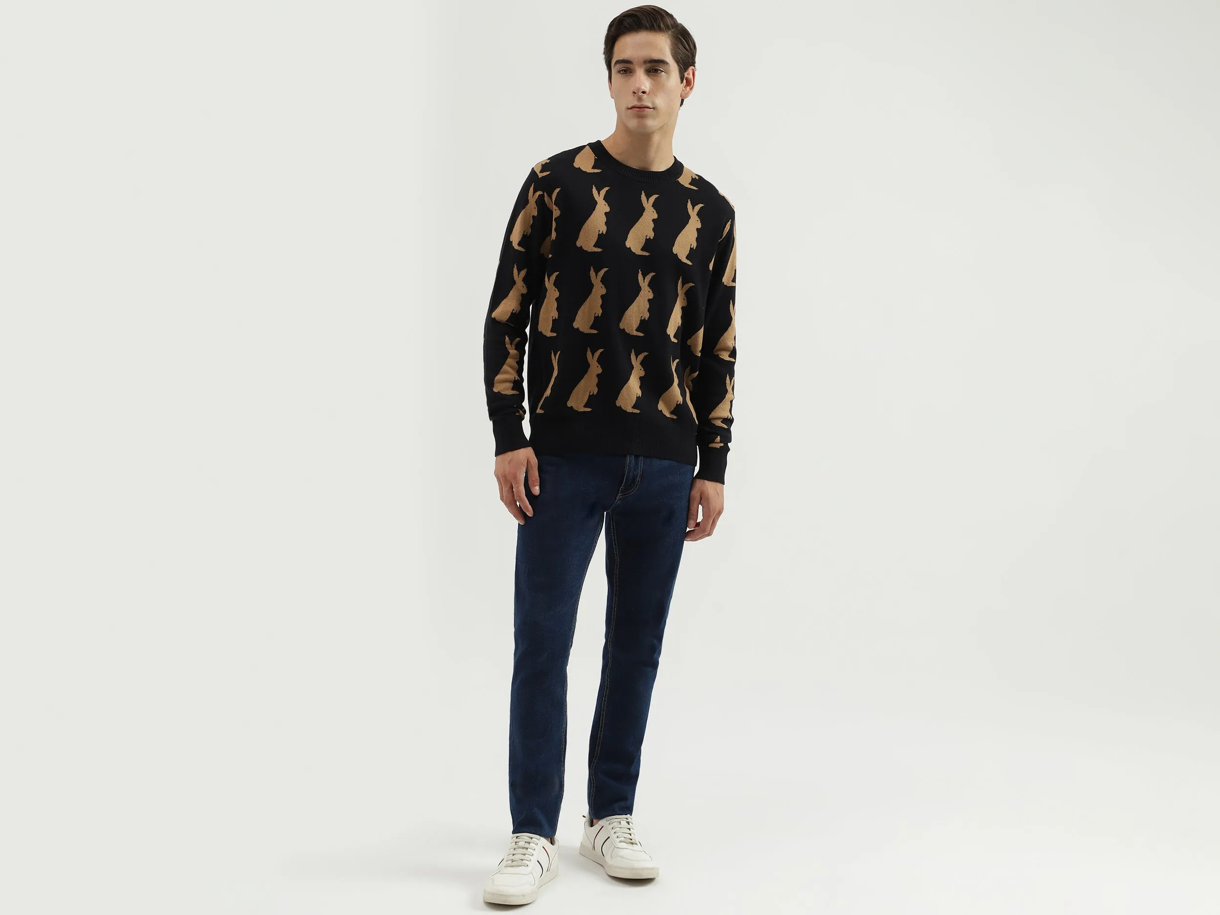 Men's Regular Fit Crew Neck Knitted Sweater