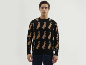 Men's Regular Fit Crew Neck Knitted Sweater