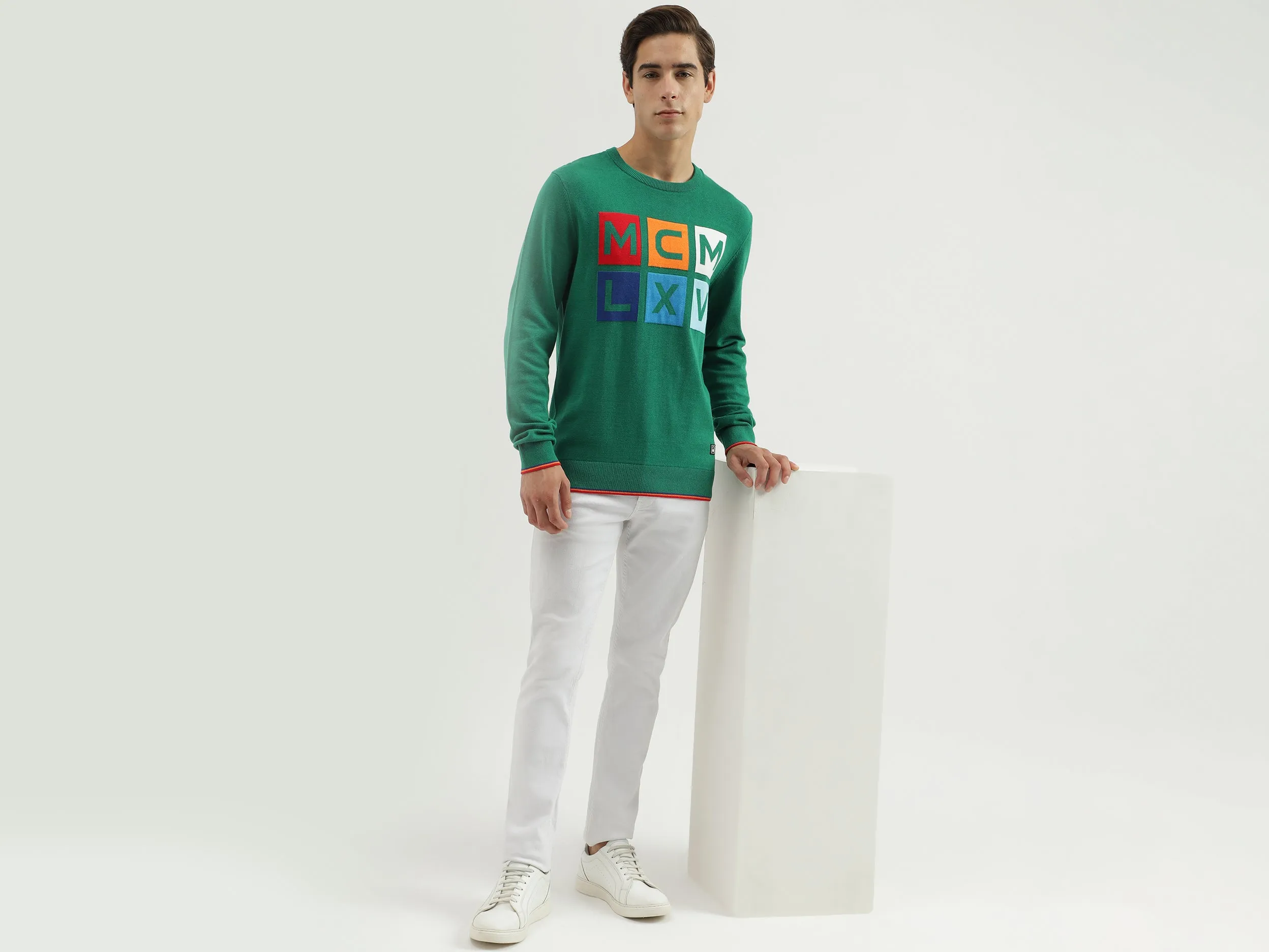Men's Regular Fit Crew Neck Knitted Sweater