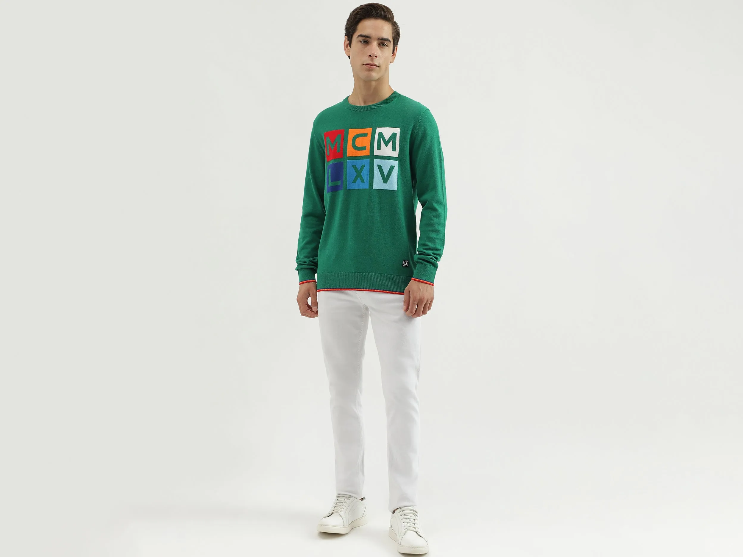 Men's Regular Fit Crew Neck Knitted Sweater