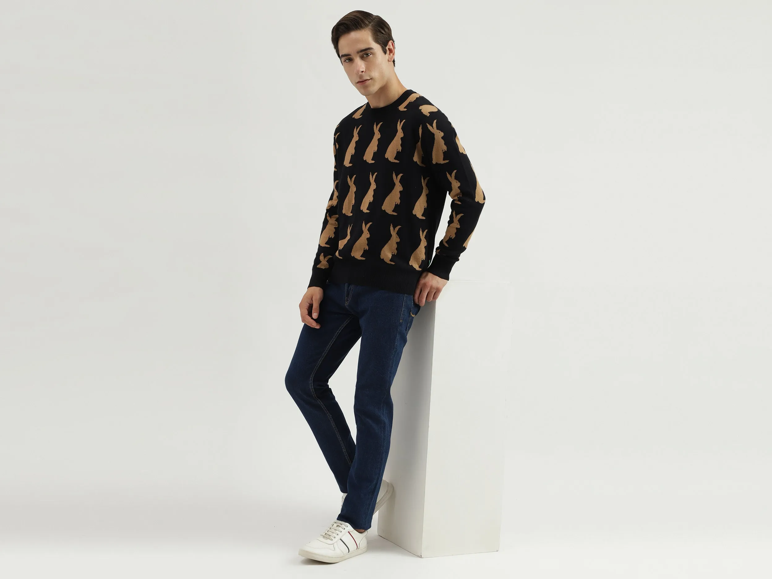 Men's Regular Fit Crew Neck Knitted Sweater