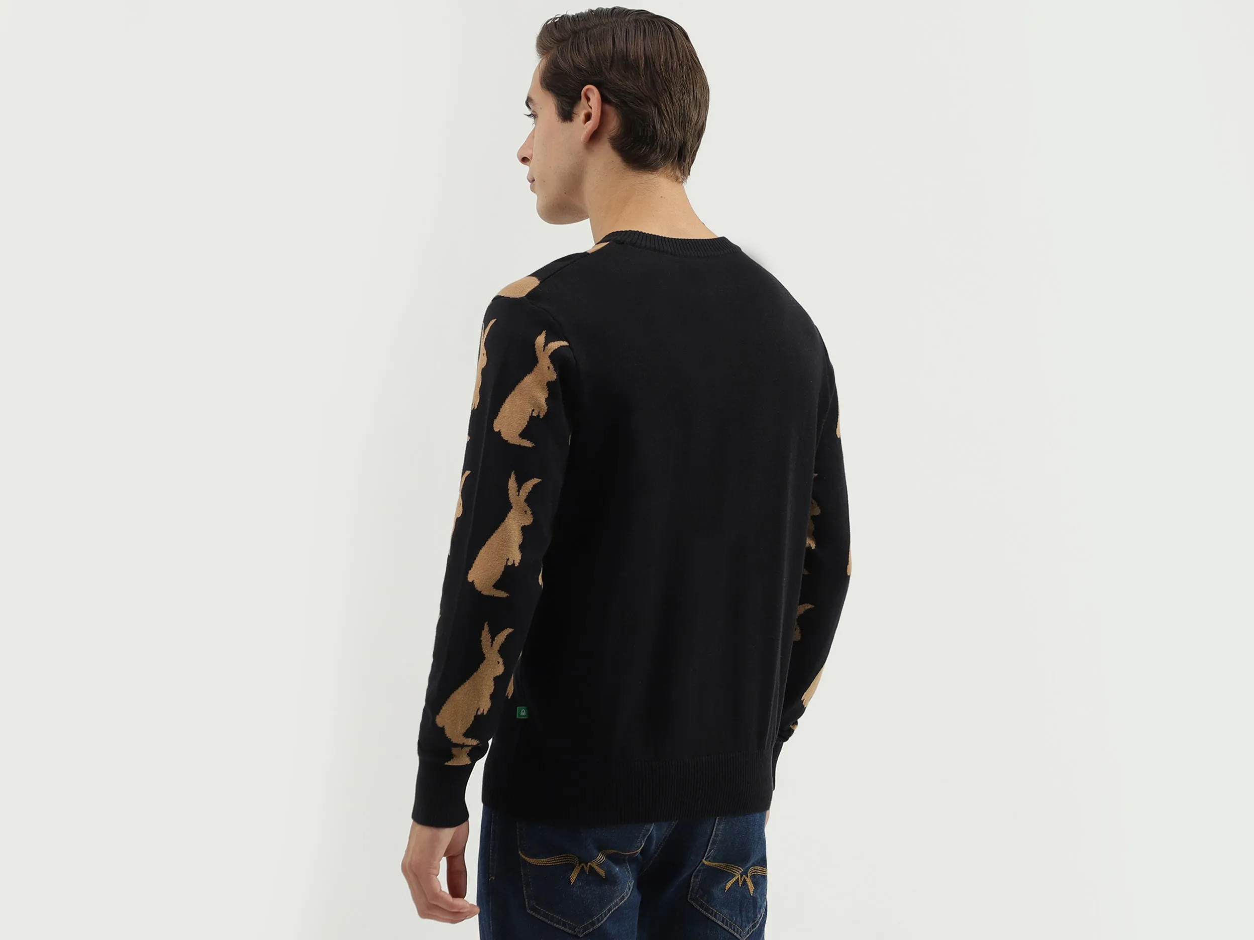 Men's Regular Fit Crew Neck Knitted Sweater