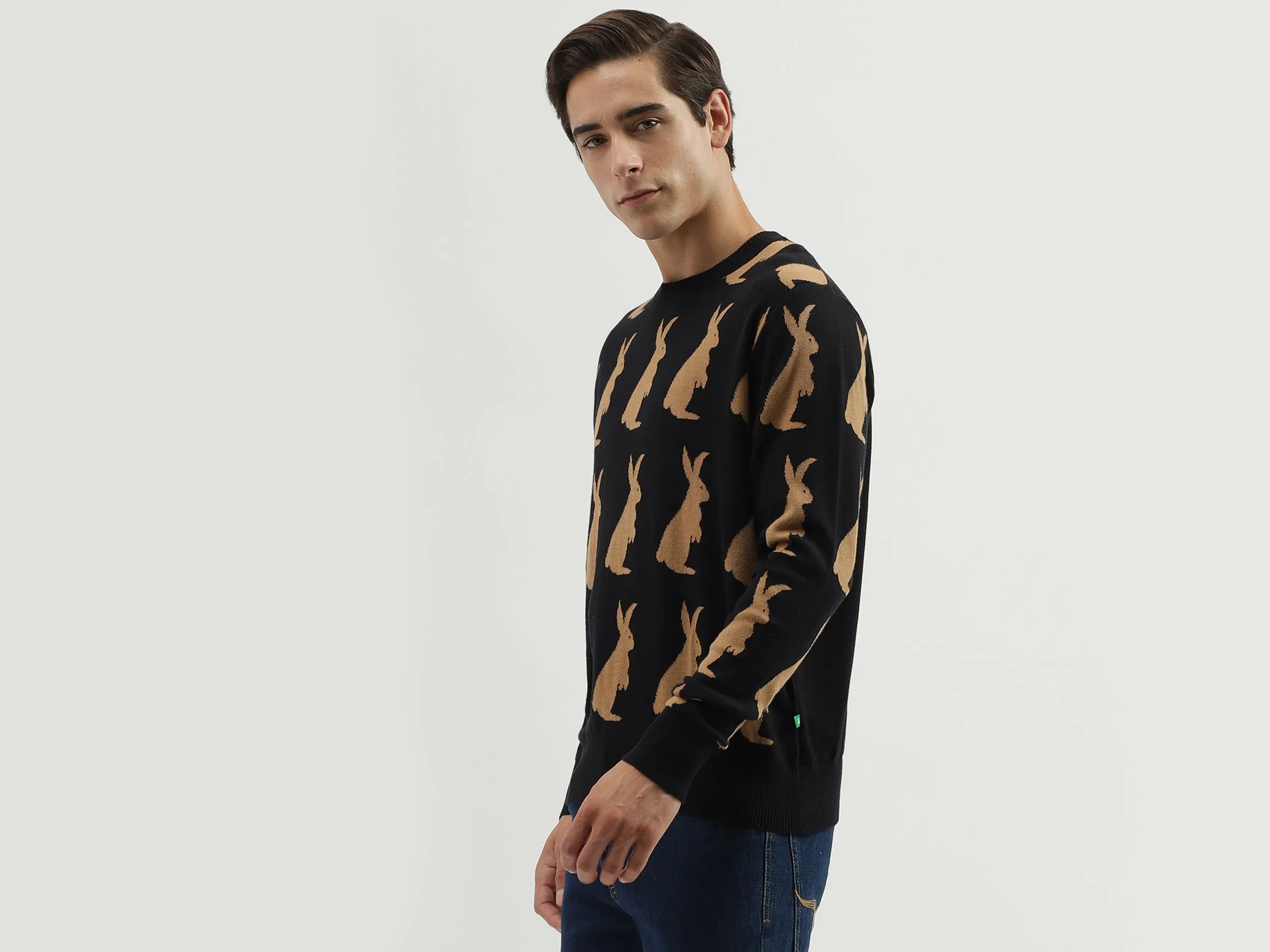 Men's Regular Fit Crew Neck Knitted Sweater