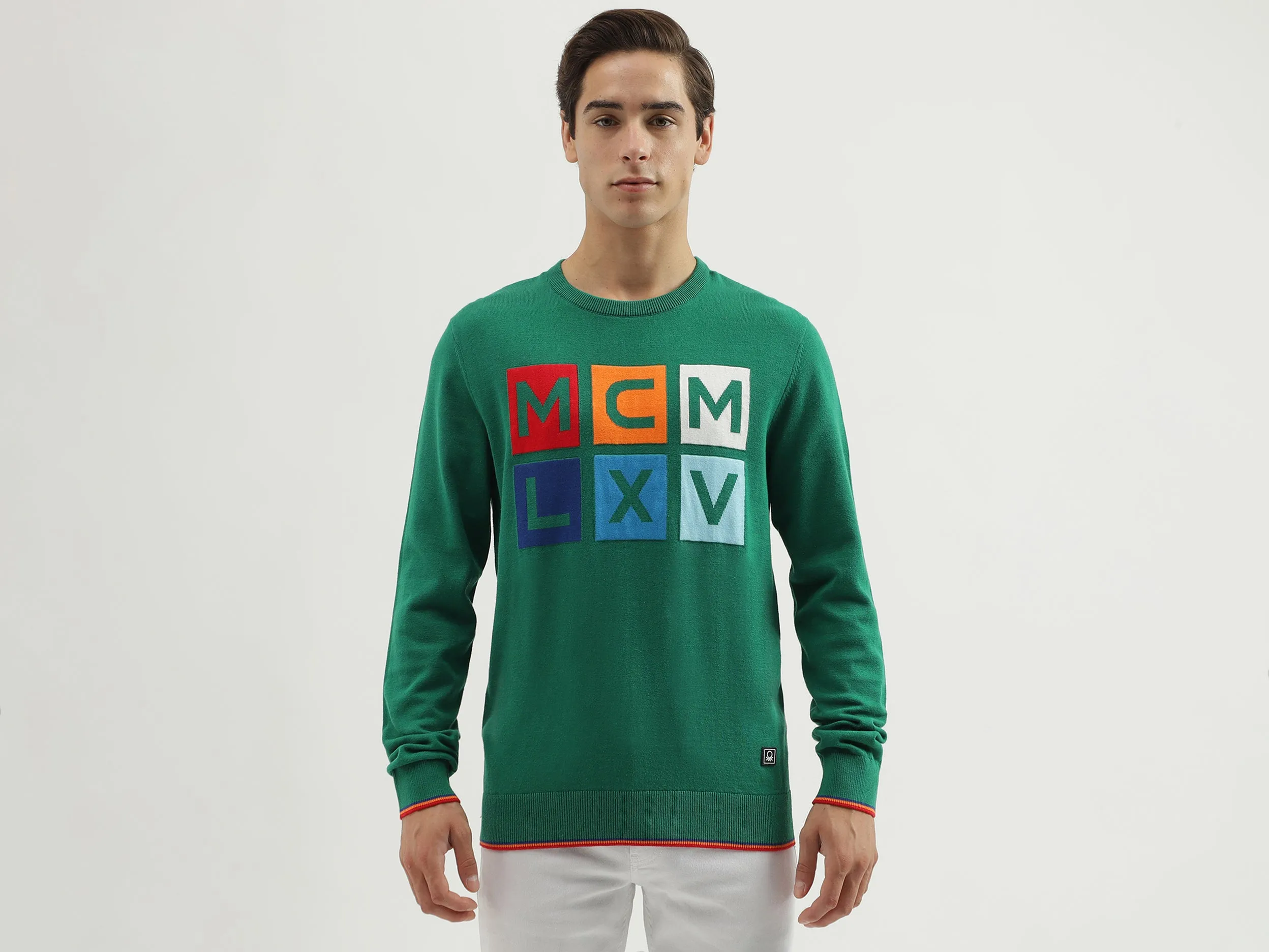 Men's Regular Fit Crew Neck Knitted Sweater