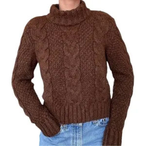 NWT American Eagle Mock Neck Wool Blend Chunky Pullover